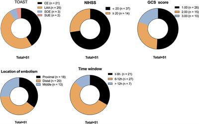 Factors influencing the prognosis of acute basilar artery occlusion patients treated endovascularly: the impact of treatment time window and preoperative symptoms